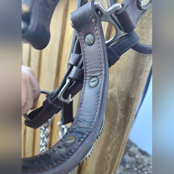 Vintage Leather Horse Show Halter with Matching Lead - Picture 10 of 13